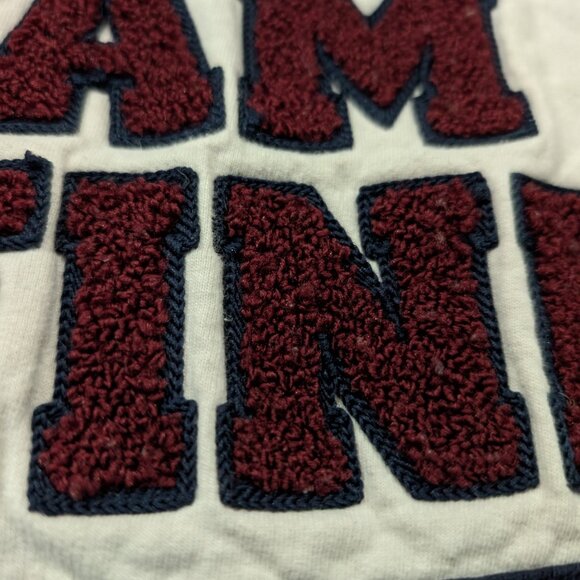 Harry Potter Team Gryffindor Chenille Lettering Cropped Sweatshirt Size Small - Picture 6 of 10